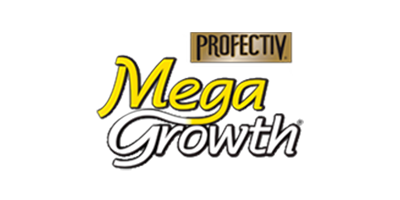 logo17